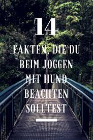 14 Fakten Die Du Beim Joggen Mit Hund Beachten Solltest Midoggy Community Hunde Joggen Gesunde Hunde
