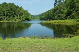 According to 2008 census bureau estimates, the population of the city was 39,467. The Perfect 3 Day Weekend Road Trip Itinerary To Hot Springs Arkansas