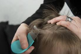 Pin On Hair