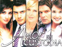 Amor En Custodia Png 363 276 Telenovelas Movie Posters Movies