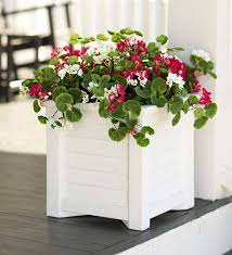 100% originalware von ferm living. Faux Red And White Geranium Urn Planter Filler Plowhearth