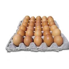 We did not find results for: Kebayoran Telur Ayam Negeri 1 Kg Terbaru Agustus 2021 Harga Murah Kualitas Terjamin Blibli