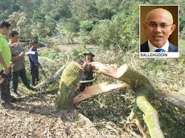 Hakcipta terpelihara 2015@jabatan perhutanan negeri pulau pinang. Elak Kerajaan Tanggung Kerugian Besar