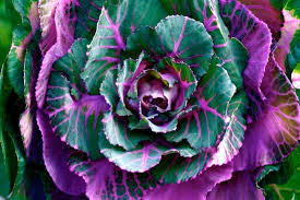 We're family owned and operated, and committed to. Emj Photography Home Facebook