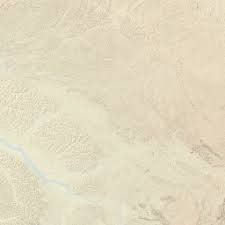 Image result for Asterochaete