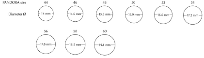 Pandora Bracelet Sizes In Mm Mount Mercy University