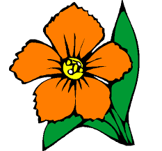 37494 immagini gratis di fiori colorati. Disegno Fiore Colorato Da Utente Non Registrato Il 05 Di Febbraio Del 2012