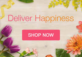 We did not find results for: Brickell Fl Florist Free Flower Delivery In Brickell Fl Brickell Ave Florist