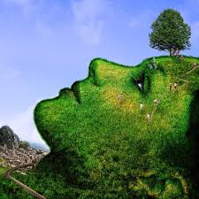 Image result for mother nature