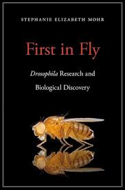 140 Drosophila Are So Fly Ideas Fruit Flies Fruits Images Microscopic Photography