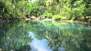 Biomes O Plenty Wiki Biome List Tropical Rainforest Ecosystem Tropical Rainforest