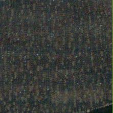 Image result for Diospyros crassiflora