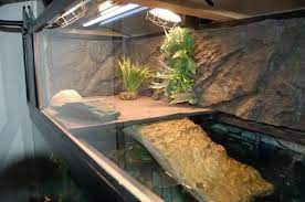 Red Eared Slider Tank Ideas Google Search Turtle Tank Turtle Aquarium Turtle Habitat