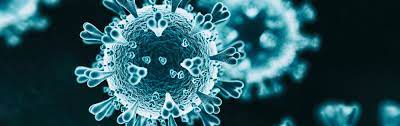Tun sie dies auch, wenn sie nur. Woher Kommt Das Coronavirus Und Was Tut Es Als Nachstes Spektrum Der Wissenschaft
