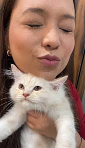 My name is Symba and I'm cutest 😺😻