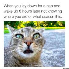 How Long Should You Nap Siowfa16 Science In Our World Certainty And Controversy