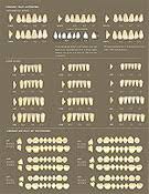 Products Verident Plus Specialty Tooth Supply Ltd