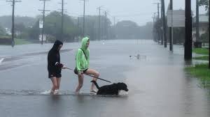 Kimi will likely intensify further before landfall and strike. G0v 8ryknlj Dm