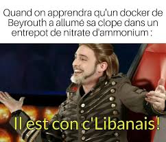 Tom leeb (c'est la vie) : The Best Neurchi De Palmashow Memes Memedroid