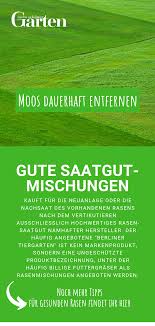 Moos Dauerhaft Entfernen So Wird Ihr Rasen Wieder Schon Vertikutieren Saatgut Rasen