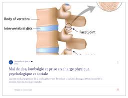 Mal De Dos Lombalgie Et Prise En Charge Physique Psychologique Et Sociale Osteopathie Lombalgie Fasciatherapie
