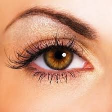 If you have any concerns, your doctor can evaluate you to make sure you are a good candidate for do not apply to the lower lid and do not instill latisse into the eye. The Proper Way To Use Latisse Lowen Robert Enhanced You Com