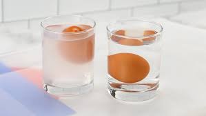 salt water density experiment for kids