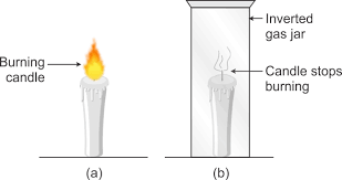 Describe An Activity To Show That Air Oxygen Is Necessary