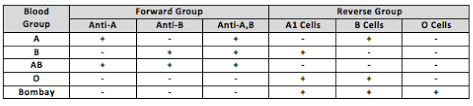 Full Text Bombay Blood Phenotype Laboratory Detection And