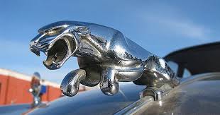 Jaguar Emblem On A 1966 S Type Saloon Jaguar Emblem Jaguar Jaguar S Type