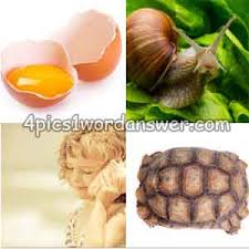 Check spelling or type a new query. 4 Pics 1 Word March 2 2019 Daily Puzzle Answer 4 Pics 1 Word Daily Puzzle Answers