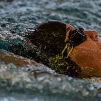 Basic Underwater Demolition/SEAL (BUD/S) students