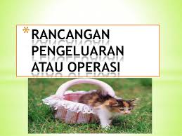 Bab 1 perniagaan dan persekitaran. Rancangan Pengeluaran Atau Operasi Pengajian Perniagaan