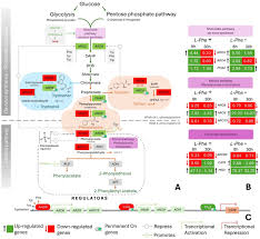Image result for Blanc 1989 ARO