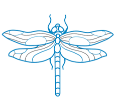 We did not find results for: How To Draw A Dragonfly 11 Steps Instructables