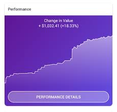 What does the raíz organizing work mean to you? My First 1k Made From Using Raiz And Investing In General Raizau