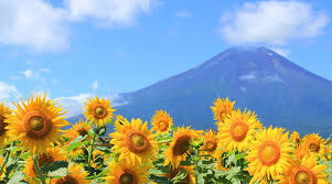 Ryokan And Hotels With Mt Fuji View Japan Traveler Online