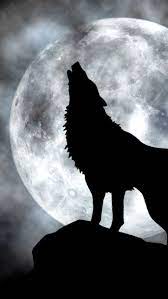 See the best hd wolf backgrounds collection. Hd Phone Wallpapers Mobile Technology News Phone Features Tier Wallpaper Wolfszeichnung Hintergrundbilder