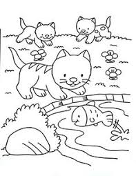 Ausmalbilder Katzenbabys