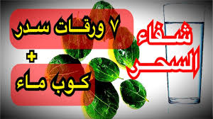 سبع ورقات سدر و كوب ماء تشفيك من السحر و المس و التعطيل في أمورك رقية شرعية تفسير الحج عبدالله Youtube