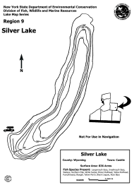 silver lake nys dept of environmental conservation