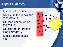 Diabetes Pathology