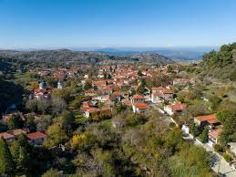 Image result for Wiesneria