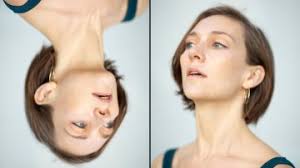 An upside-down book with no beginning and no end