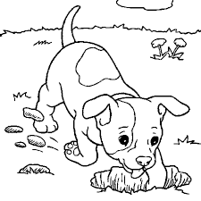 Tu aimes dessiner et colorier ? Coloriage Petit Chien En Ligne Gratuit A Imprimer