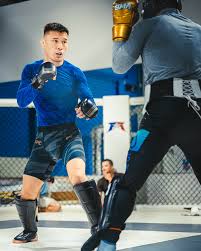 Image result for Striga hallaei