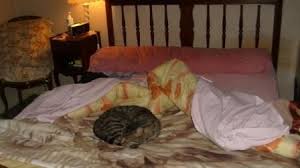 Veuillez trouver 2 formats d'image classique noire : Comme On Fait Son Lit On Se Couche Mamie Dany Tatie Daniele