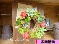 にほんブログ村 花ブログ 多肉植物へ 花 多肉植物 ブログ
