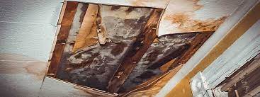 The fact of the matter is there are so many places where to test, turn the shower on (both hot and cold) and carefully monitor leaking water under the shower. Shower Pan Leak Testing Los Angeles Water Intrusion Specialists