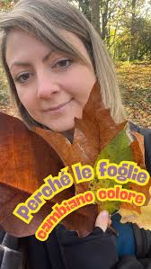 Domenica 16 appuntamento con il 🍂FOLIAGE🍂. Una passeggiata lenta in  compagnia di un esperto botanico per scoprire le meraviglie della Natura in  autunno. Ingresso gratuito e libero per tuttə 🍁 ⏰ 09:30-11:30